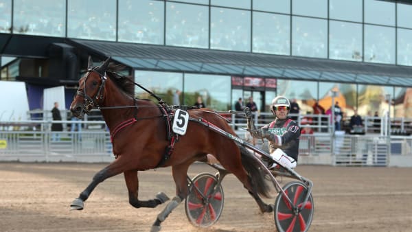 Foto: MARIA HOLMÉN / TR BILD