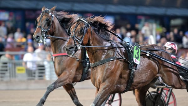 Foto: LARS JAKOBSSON / TR BILD