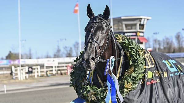 Foto: JENNY REHNMAN / TR BILD