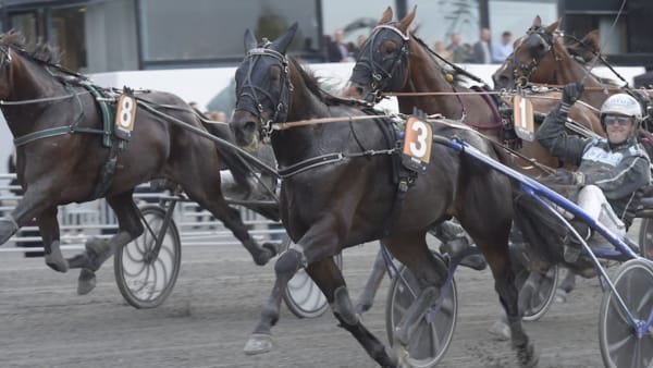 Foto: Lars Jakobsson/TR Bild