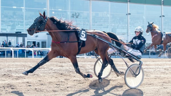 Foto: MIKAEL ROSENQUIST / TR BILD