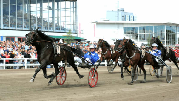 Foto: JÖRGEN TUFVESSON/ALN