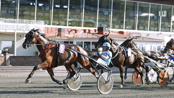 Foto: MARIA HOLMÉN / TR BILD