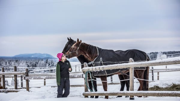 Foto: Anneli Åsén Carlsson
