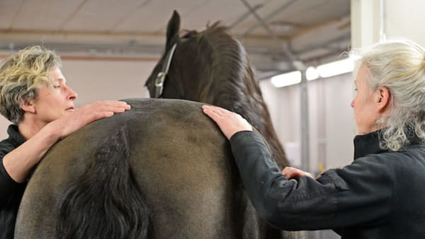 Foto: Malin Albinsson/TR Bild