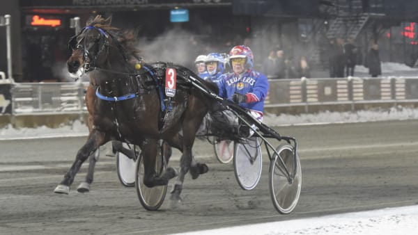 Foto: Lars Jakobsson/TR Bild