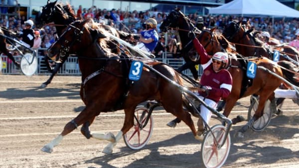 Foto: MICKE GUSTAFSSON/ALN