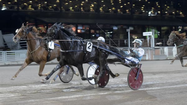 Foto: LARS JAKOBSSON / TR BILD