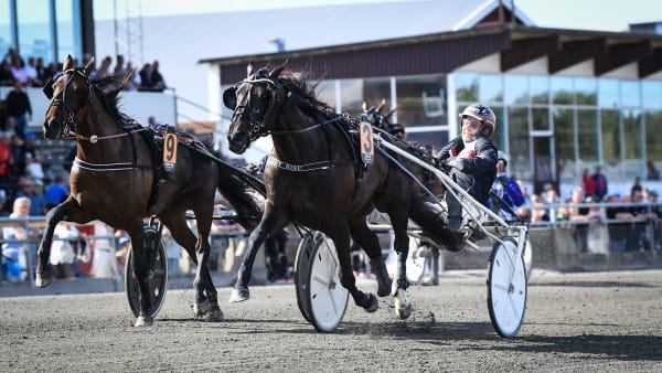 Foto: MALIN ALBINSSON / TR BILD