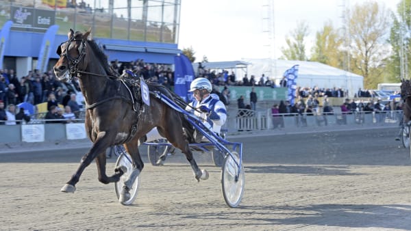 Foto: LARS JAKOBSSON / TR BILD