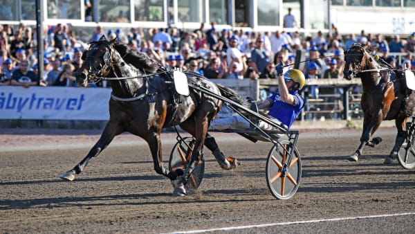 Foto: MALIN ALBINSSON / TR BILD