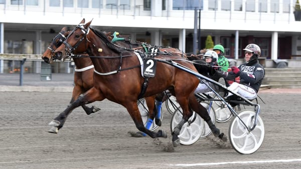 Foto: MALIN ALBINSSON / TR BILD