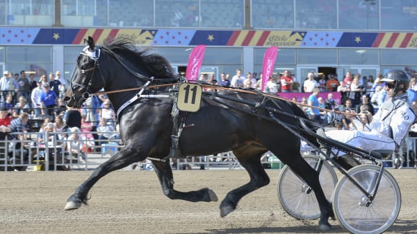 Foto: JEANNIE KARLSSON