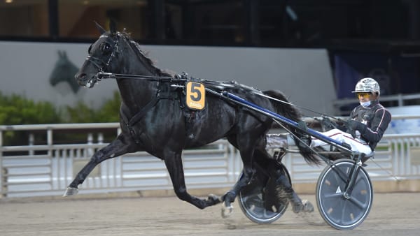 Foto: LARS JAKOBSSON / TR BILD