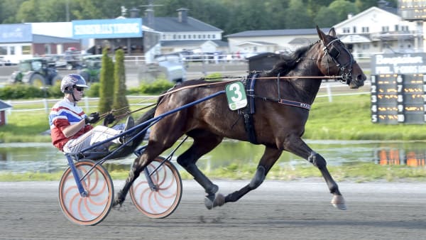 Foto: LARS JAKOBSSON / TR BILD