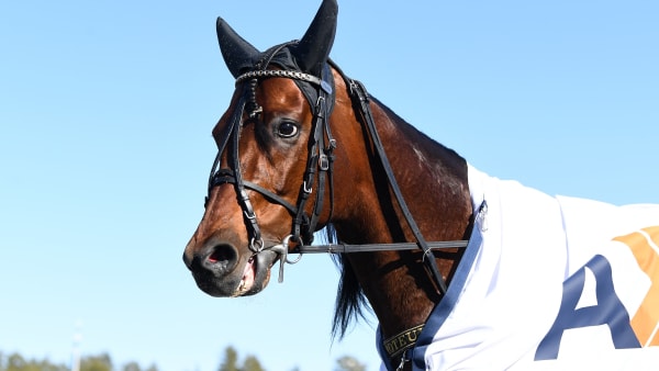 Foto: MALIN ALBINSSON / TR BILD