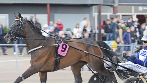 Foto: Lars Jakobsson/TR Bild