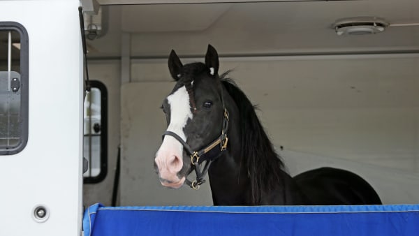 Foto: MATILDA ÖHRMAN / TR BILD