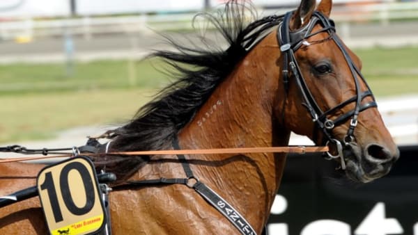 Foto: MARTIN LANGELS/ALN