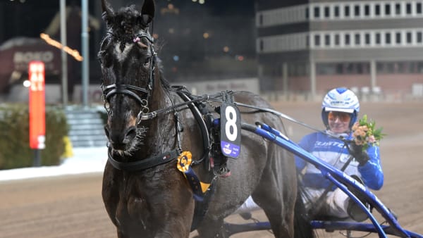 Foto: LARS JAKOBSSON / TR BILD