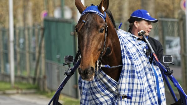 Foto:  JEAN-LUC LAMAÈRE/LE TROT