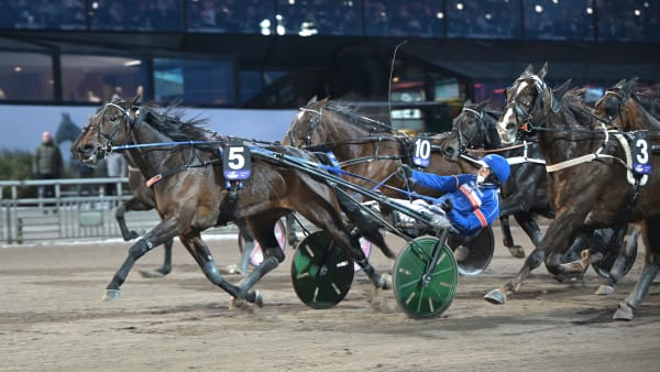 Foto: LARS JAKOBSSON / TR BILD