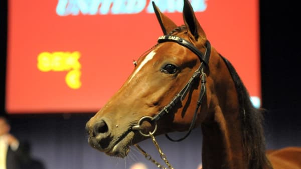 Foto: JÖRGEN TUFVESSON/ALN