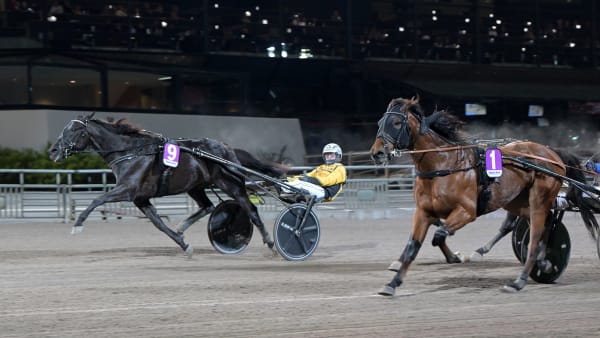 Foto: LARS JAKOBSSON / TR BILD