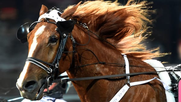 Foto: Lars Jakobsson/TR Bild