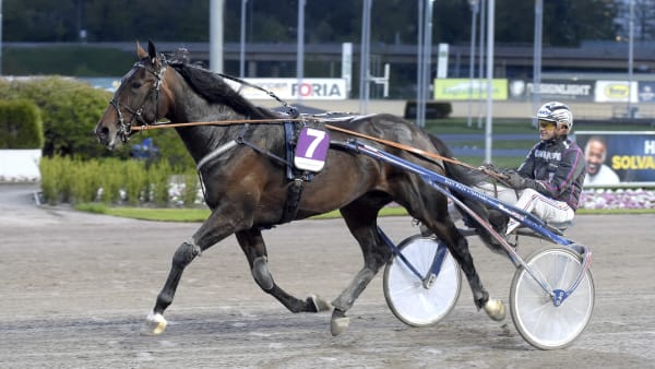 Foto: LARS JAKOBSSON / TR BILD