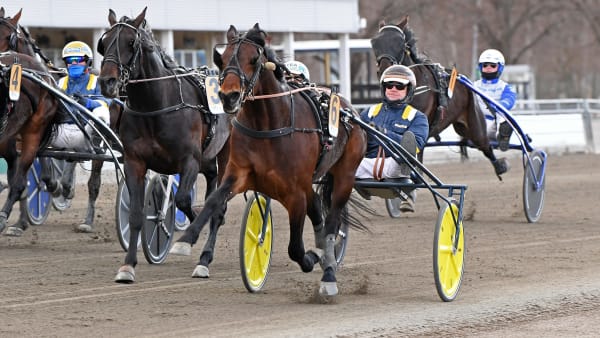 Foto: MALIN ALBINSSON / TR BILD