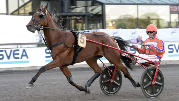 Foto: LARS JAKOBSSON / TR BILD