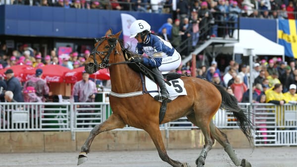 Foto: MARIA HOLMÉN / TR BILD