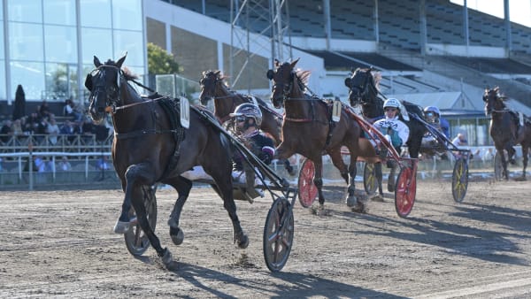 Foto: LARS JAKOBSSON / TR BILD