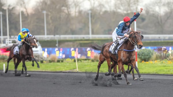 Foto: BRUNO VANDEVELDE/LE TROT