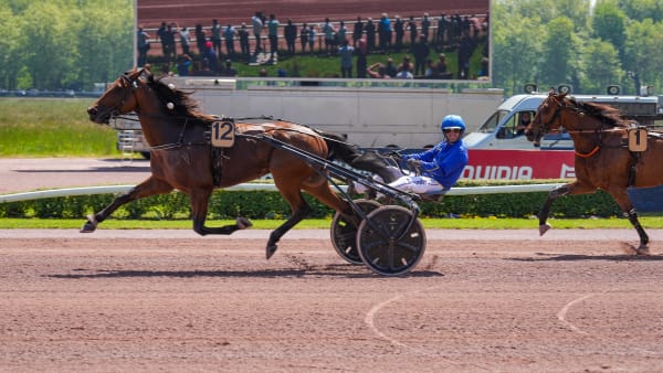 Foto: THOMAS BLOMQVIST / TR BILD