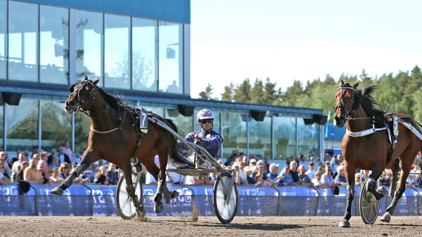 Foto: MARIA HOLMÉN / TR BILD