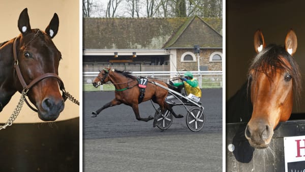 Foto: MATILDA ÖHRMAN & JEAN-LUC LAMAÈRE