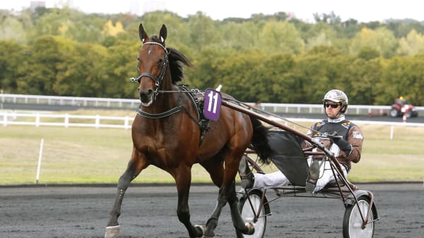 Foto: MARIA HOLMÉN / TR BILD