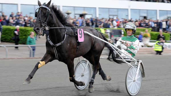 Foto: JÖRGEN TUFVESSON/ALN