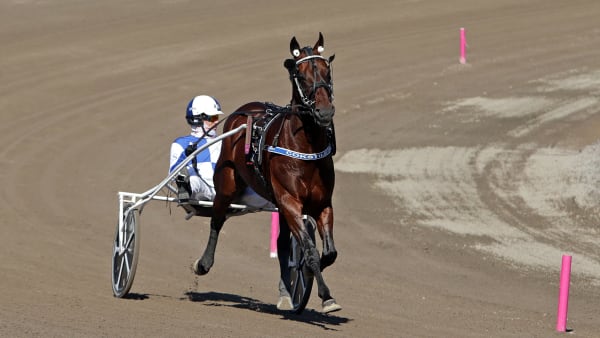 Foto: MATILDA ÖHRMAN / TR BILD