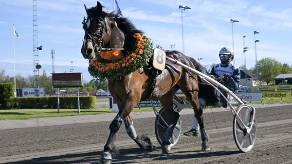 Foto: LARS JAKOBSSON / TR BILD