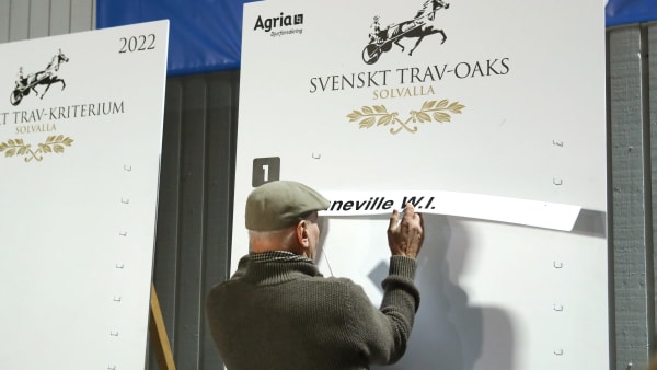 Foto: MARIA HOLMÉN / TR BILD