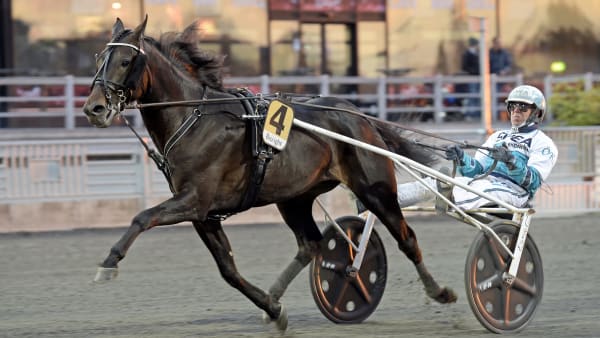 Foto: LARS JAKOBSSON / TR BILD