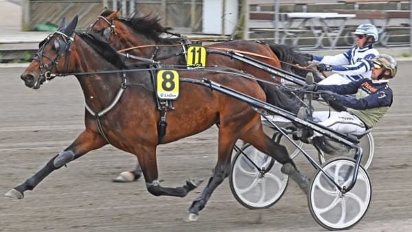 Foto: LARS B PERSSON/ALN