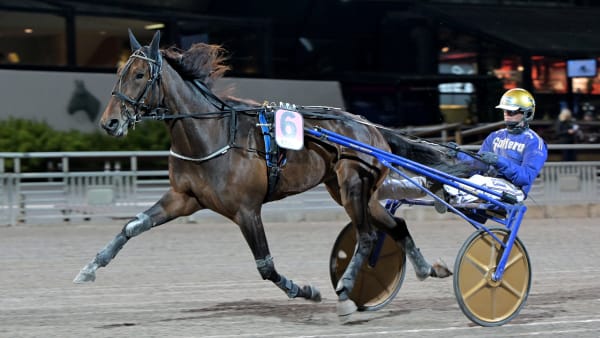 Foto: LARS JAKOBSSON / TR BILD