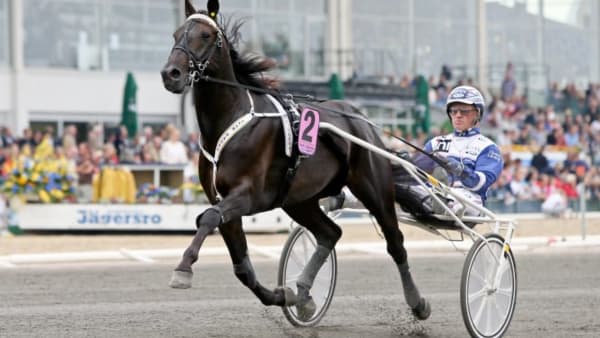 Foto: JEANNIE KARLSSON