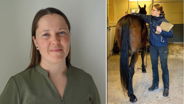 Foto: Johanna Bergeå/Frida Lundmark Hedman