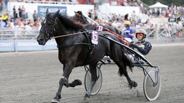 Foto: MATILDA ÖHRMAN / TR BILD