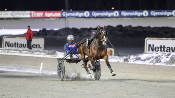 Foto: TROND PEDERSEN/HESTEGUIDEN
